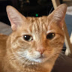 Meet your Posher, Selena